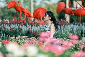 BIB: 
                            <button type="button" onclick="openModal(25934636)" class="btn btn-primary btn-sm float-right btn-popup" data-toggle="modal" data-target=".modal-high-quality">
                        <i class="fas fa-shopping-cart"></i> Add to Cart
                    </button>
                                            <button type="button" onclick="isThisMe(25934636, true)" class="btn btn-success btn-sm float-right btn-popup btn-isme hidden" data-toggle="tooltip" data-placement="bottom" title="นี่คือรูปของคุณใช่ไหม คลิกที่นี่เพื่อเอาเข้าอัลบั้ม">
                        <i class="fas fa-plus"></i> Add to album
                    </button>
                    <button type="button" onclick="isThisMe(25934636, false)" class="btn btn-warning btn-sm float-right btn-popup btn-isnotme hidden">
                        <i class="fas fa-ban"></i> Remove from album
                    </button>